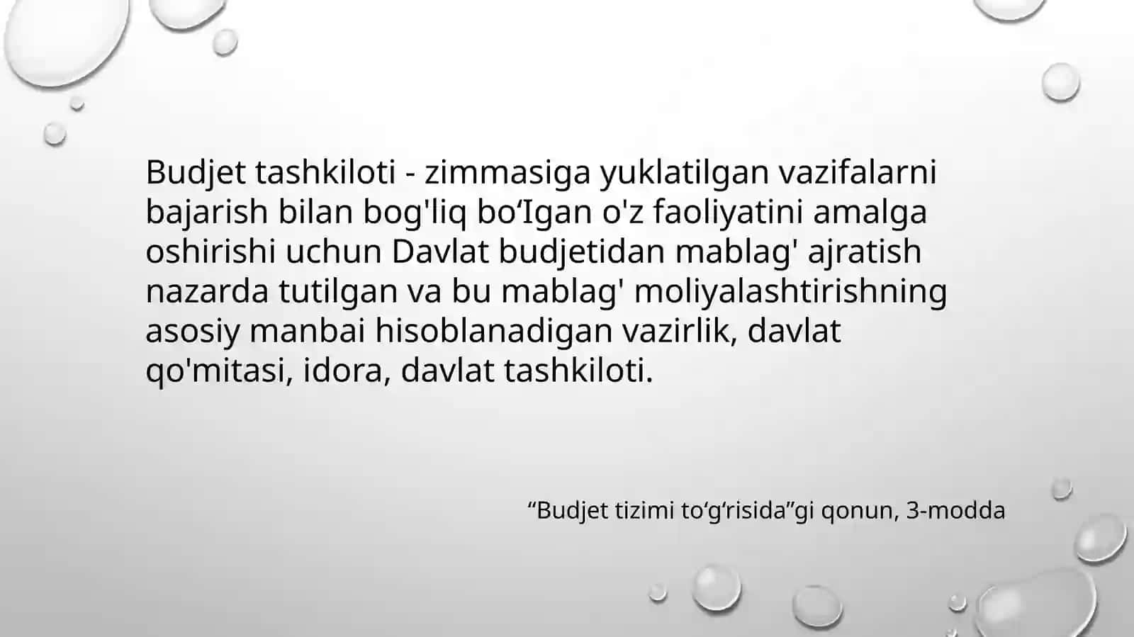 byudjettashkilotlaridayuritiladiganhisobhujjatlarihamdaregistrlarishakllari 4