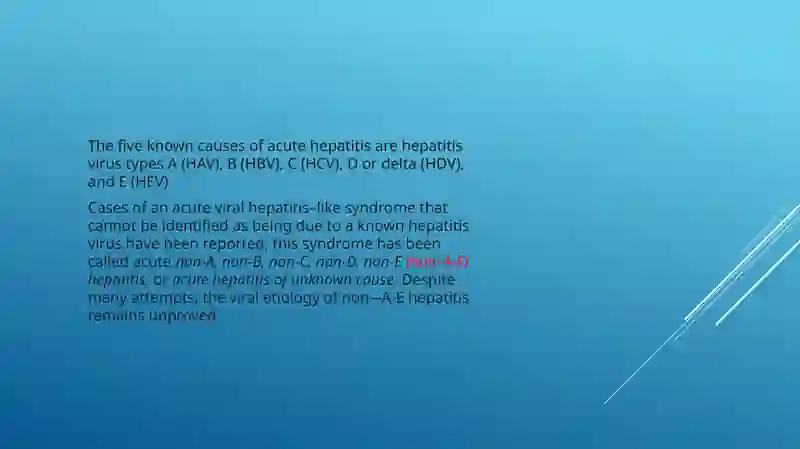 HEPATITIS 4