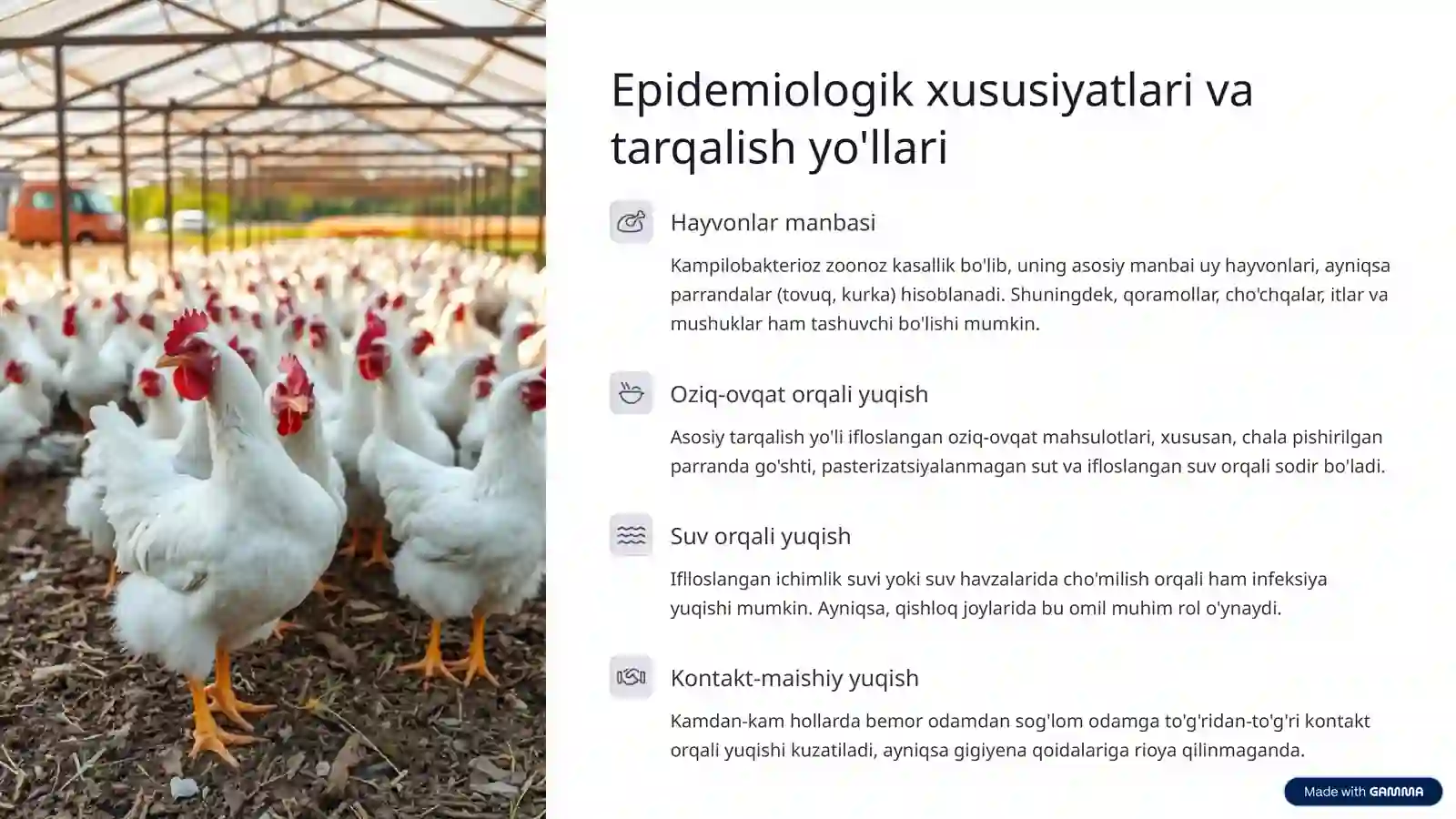Kampilobakterioz: Etiologiya, Epidemiologiya, Patogenez, Klinika, Diagnostika, Davolash 4