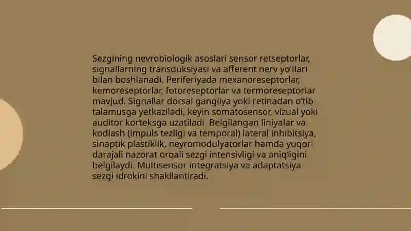 Sezgi 4