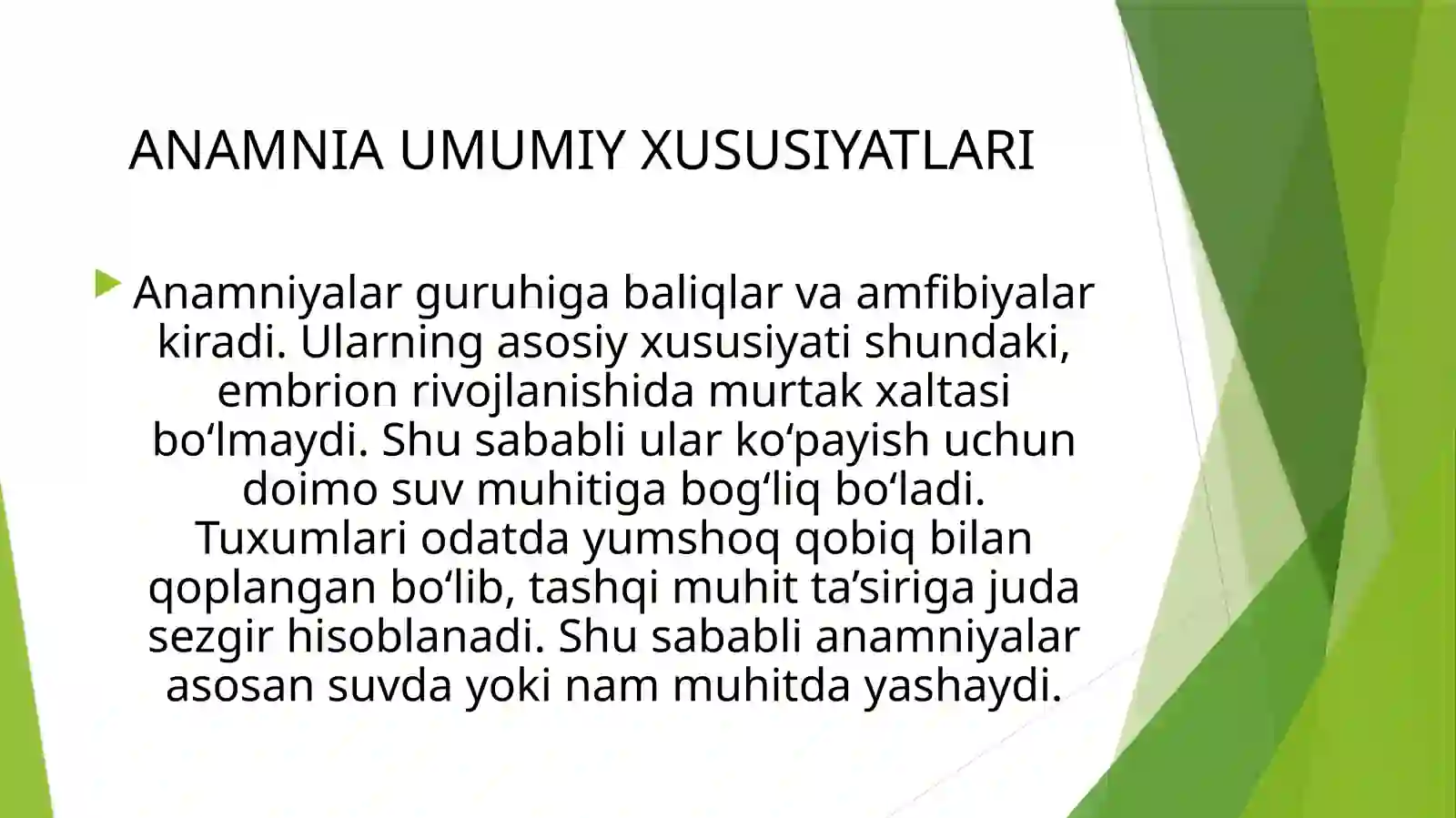 Murtakxaltasiz–Anamniyalar va Murtakxaltali–Amniotalar 4