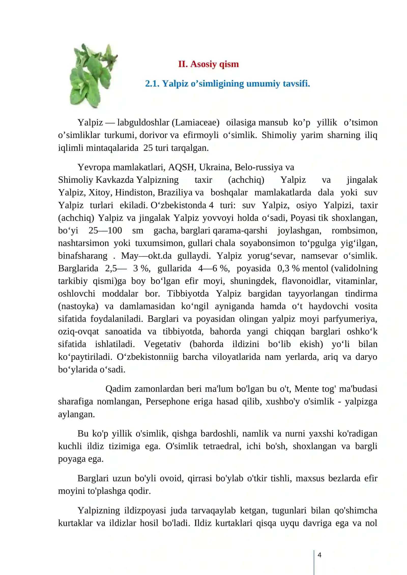 Qalampir yalpiz (Mentha piperita) 4