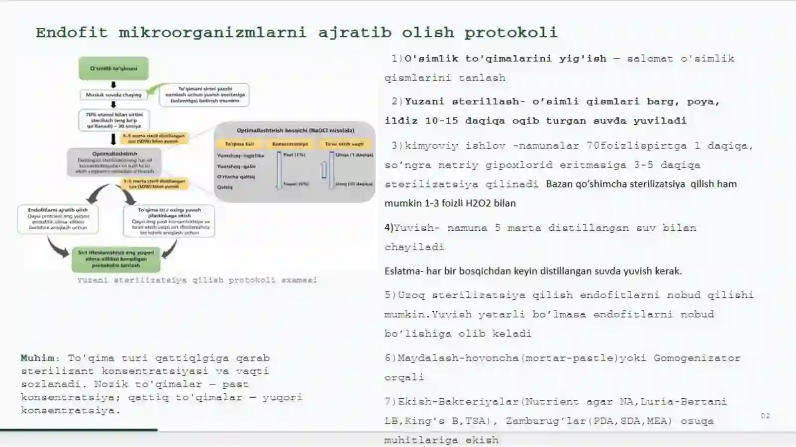 Endofit Mikroorganizmlar Haqida Umumiy Tushuncha 4