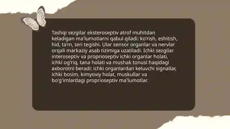 Sezgi haqida umumiy tushuncha 4