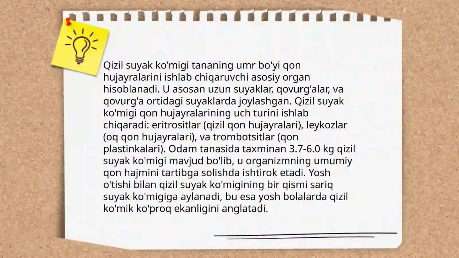 Qon yaratuvchi va immun ximoya aʼzolari.Qizil suyak koʻmigi.Ayrisimon bez 4