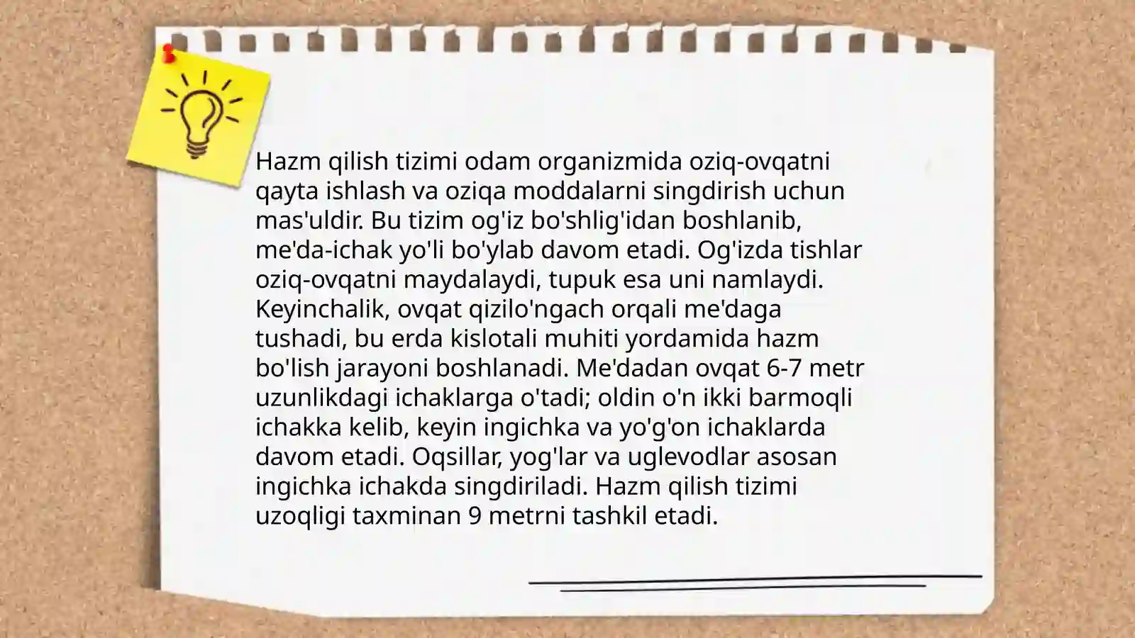 Kavush qaytaruvchi hayvonlarning ozuqasini hazm boʻlishi 4
