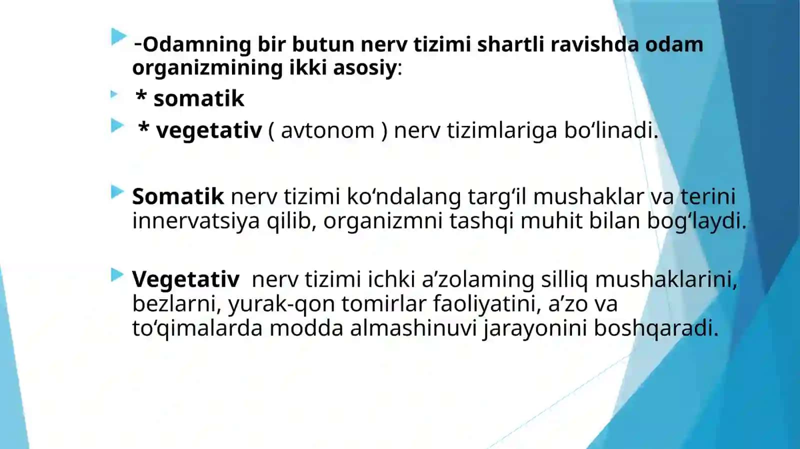 Markaziy nerv tizimining funsional anatomiyasi 4