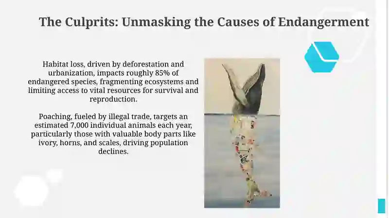 Understanding Endangered Species and Their Plight 4