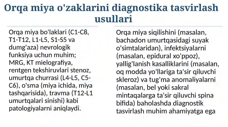Orqa miya o'zaklari 4