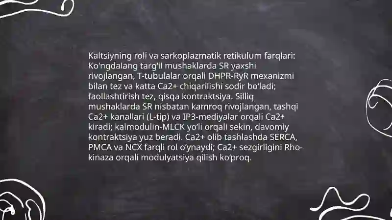 Silliq va ko'ngdalang targ'il mushaklar fiziologik farqlari 4