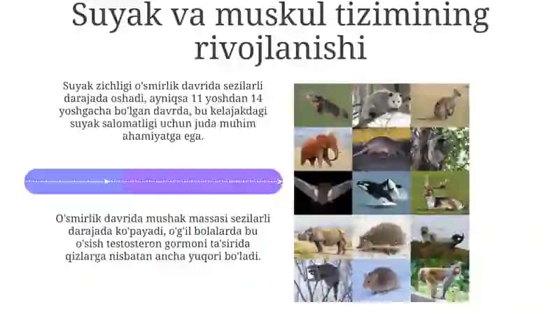 Yosh davrlarining morfologik va fiziologik xususiyatlari 4