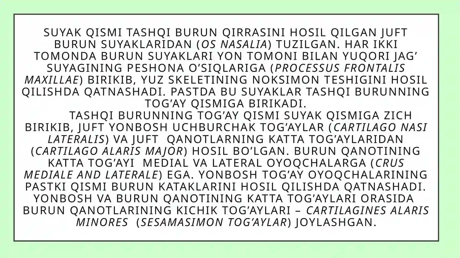 Burun yon bo'shliqlari 4