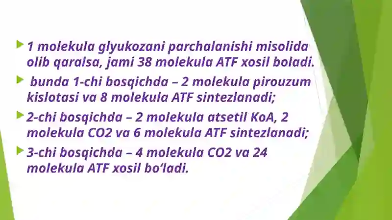 Glyukoza katabolizmi va glukoneogenez 4