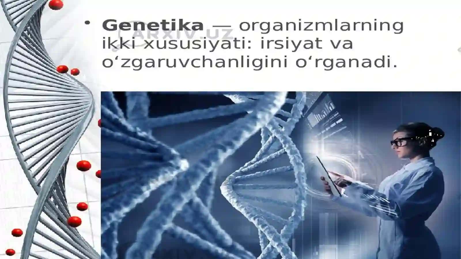 QurbonovaOysara 4