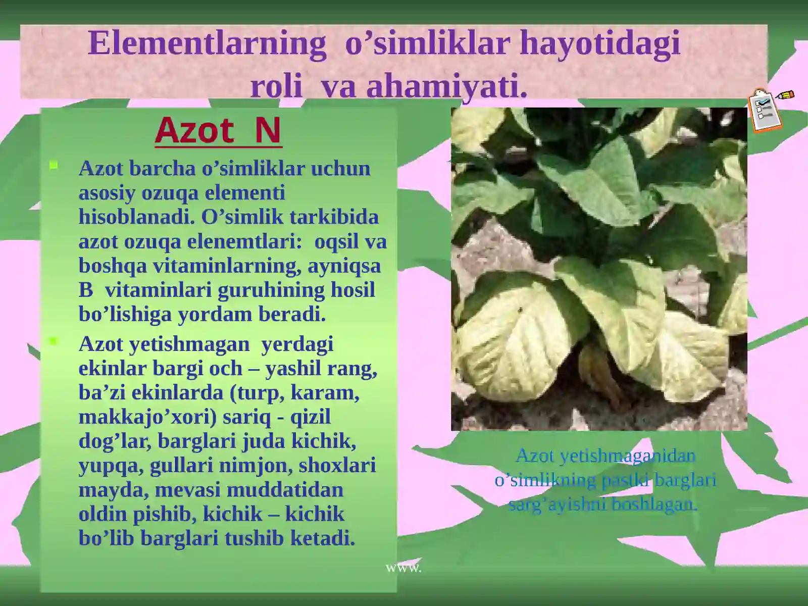 Mineral o’g’itlar 4