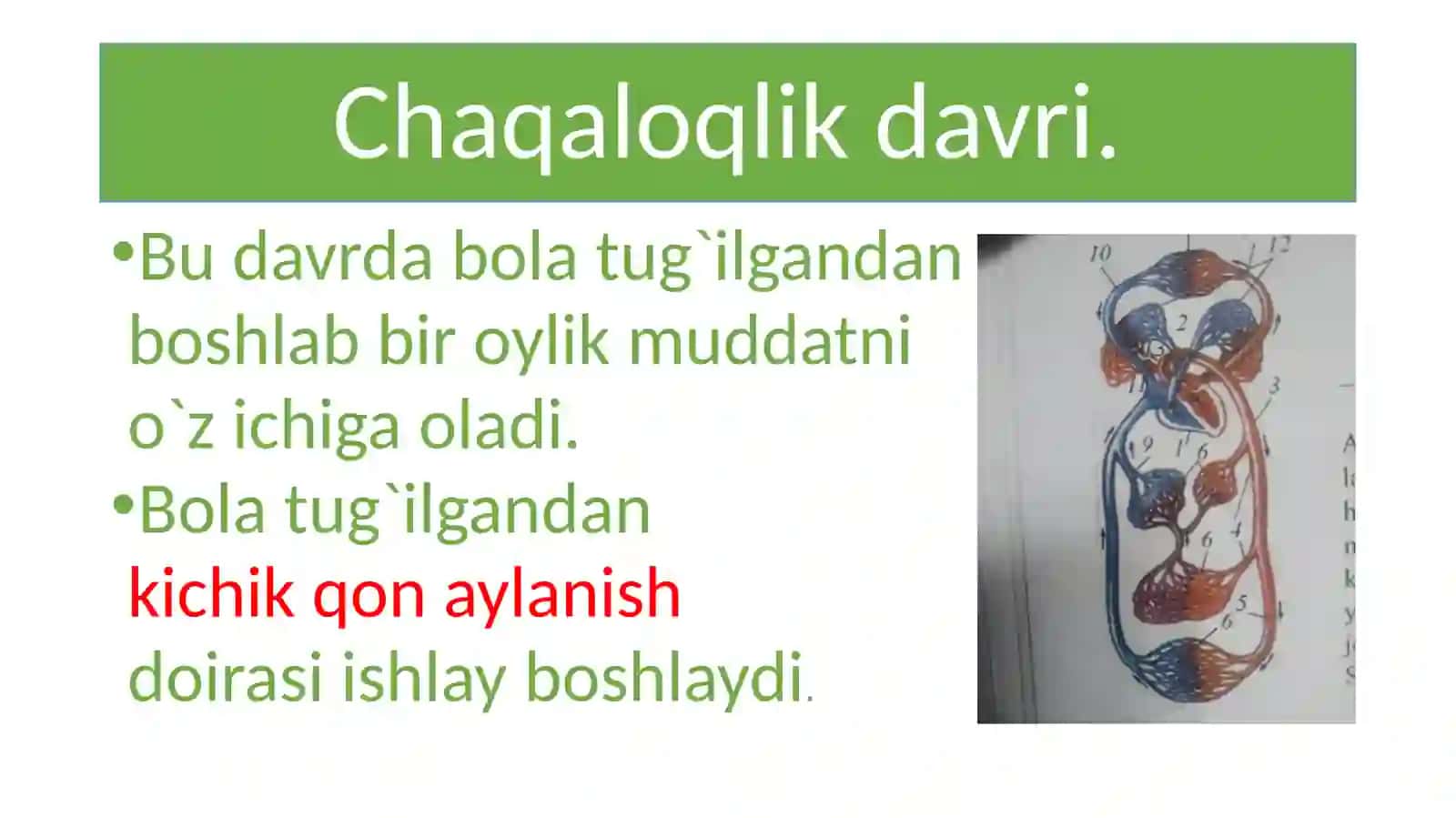 Bolaning  o`sishi  var  ivojlanishi 4