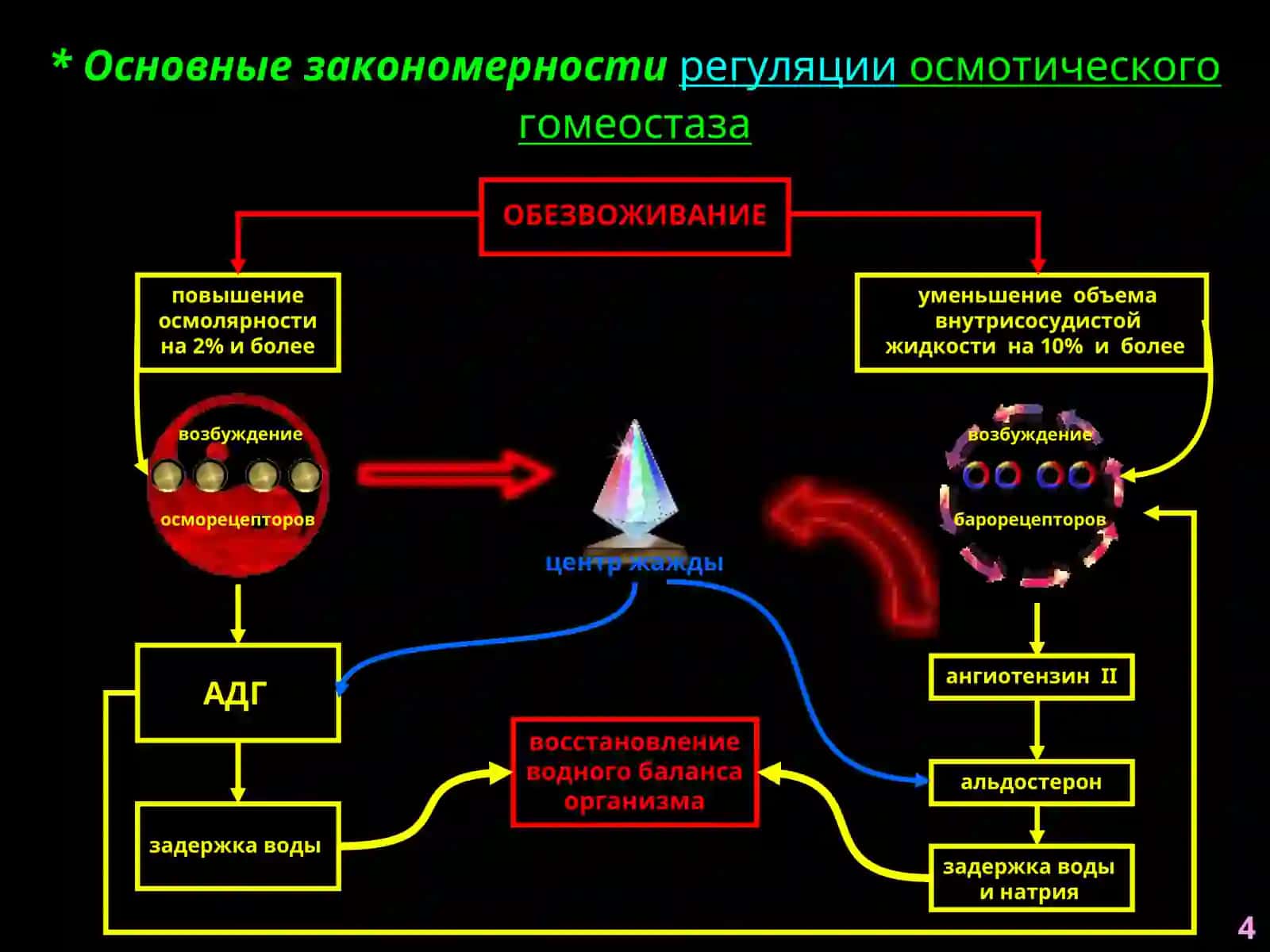 Патофизиология водно-солевого обмена 4