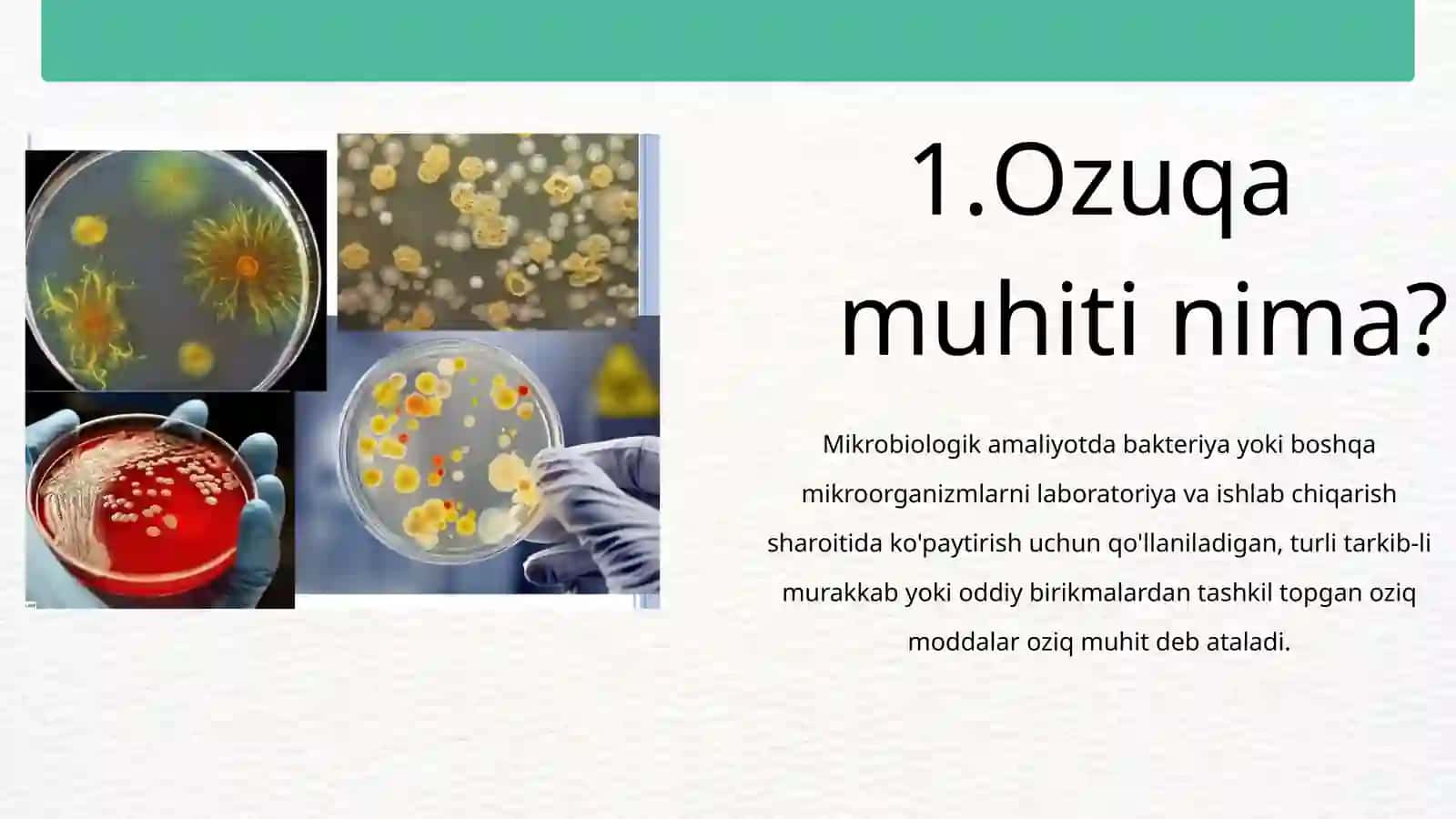 MIKROORGANIZMLAR FIZIOLOGIYASI, MIKROORGANIZMLARNI O‘STIRISH VA SOF KULTURA AJRATIB OLISH USULLARI. 4