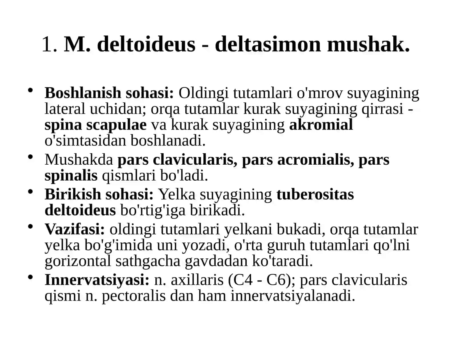 YELKA KAMARI MUSHAKLARI 4