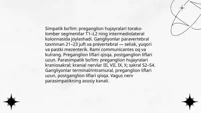 Vegetativ nerv tizimi fiziologiyasi 4