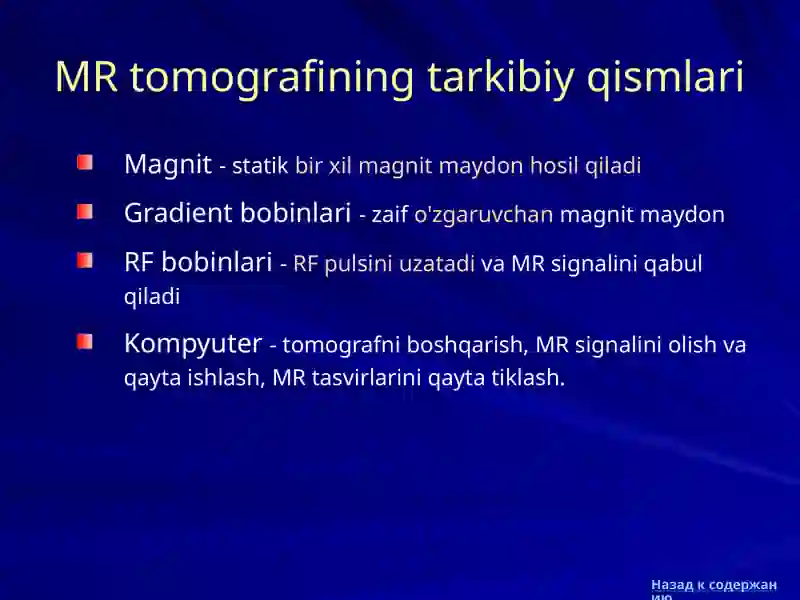 Magnit-rezonans tomografiya 4