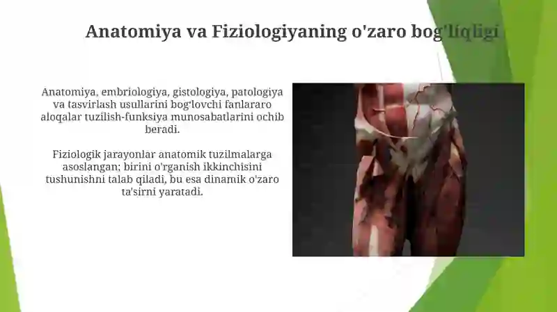 Anatomiya fanning rivojlanish tarixi va boshqa fanlar aloqasi 4