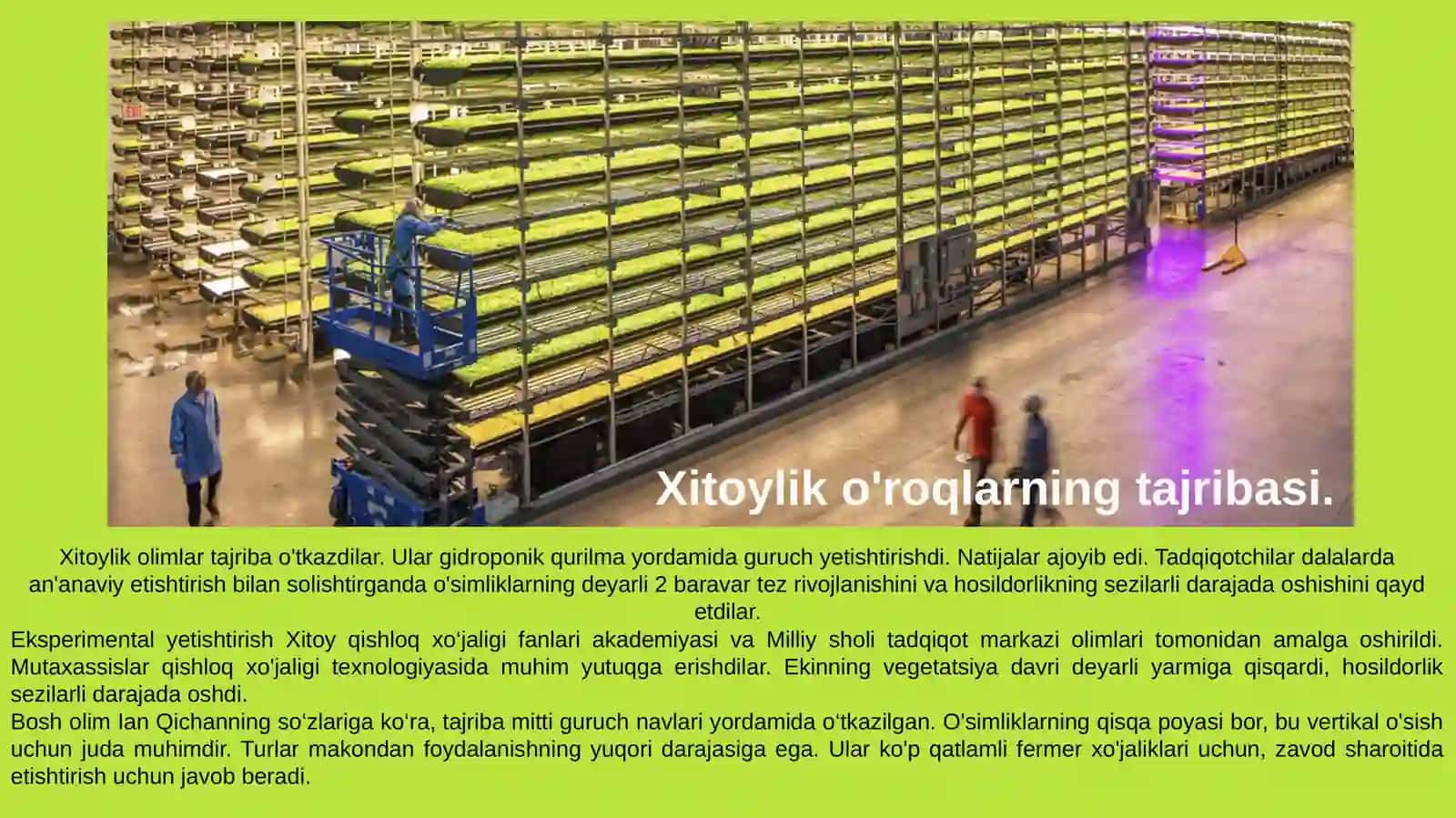 Agro tizimi 4
