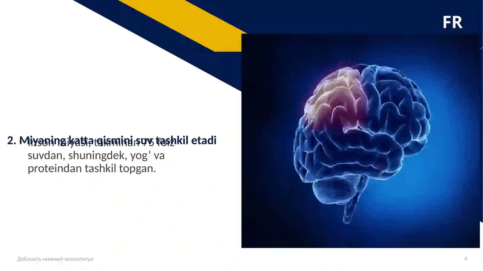 MIYA VA UNING FAOLIYATI 4
