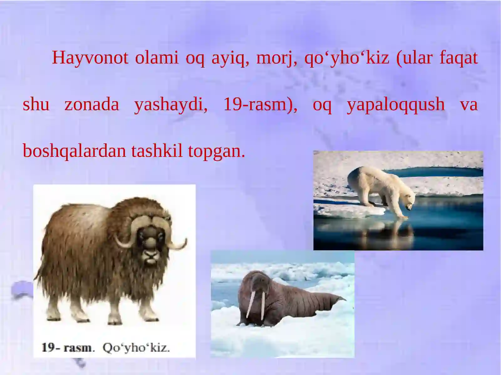 Shimoliy Amerikaning tabiat zonalari va balandlik mintaqalari 4