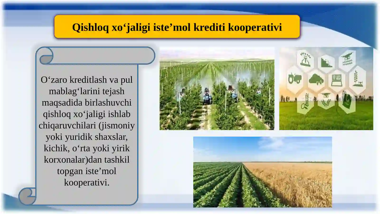 Qishloq xo'jaligida kredit kooperatsiyasi 4