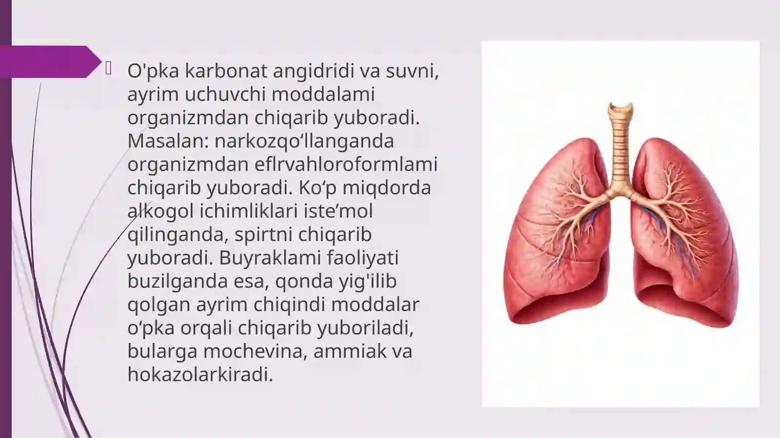 ayirish sistemasi 4