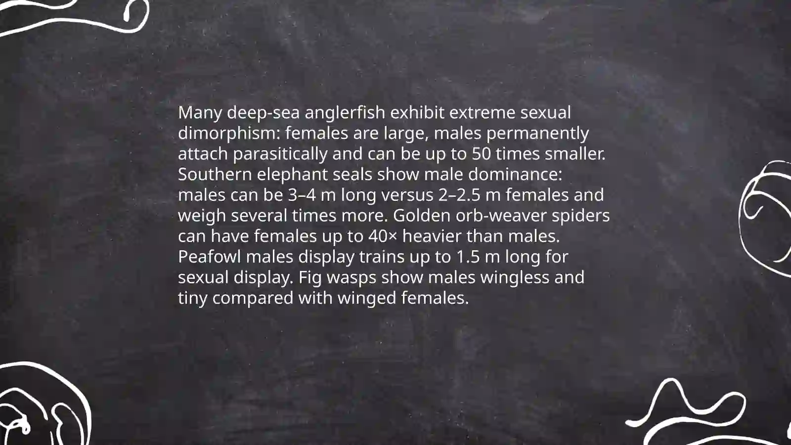 Bioluminescent deep-sea animals 4