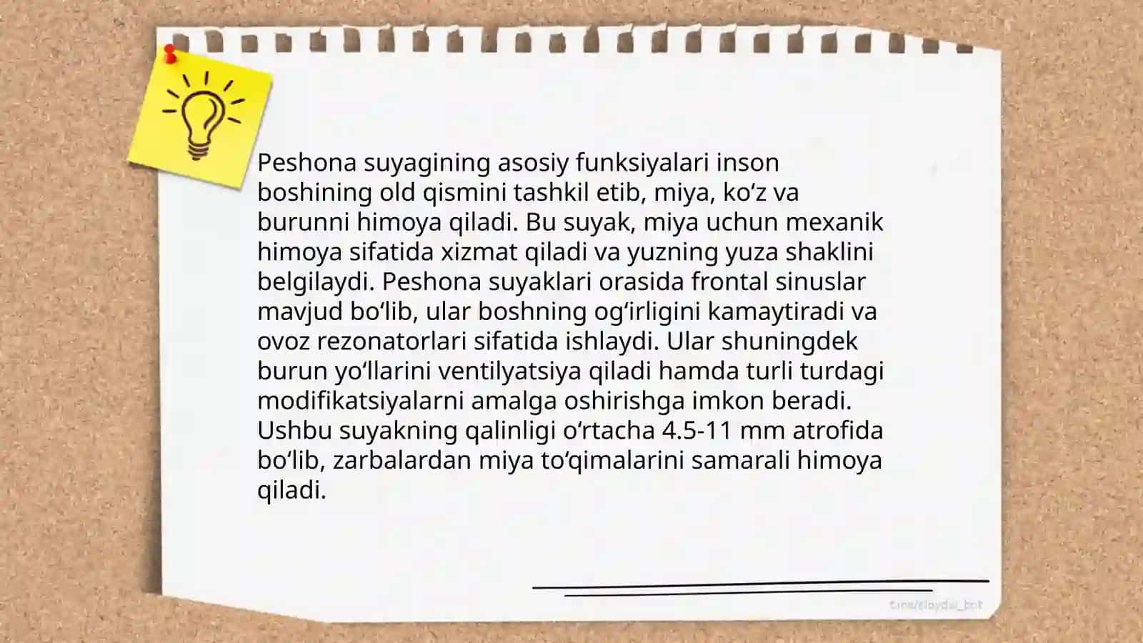Peshona suyagi haqida malumotlar 4