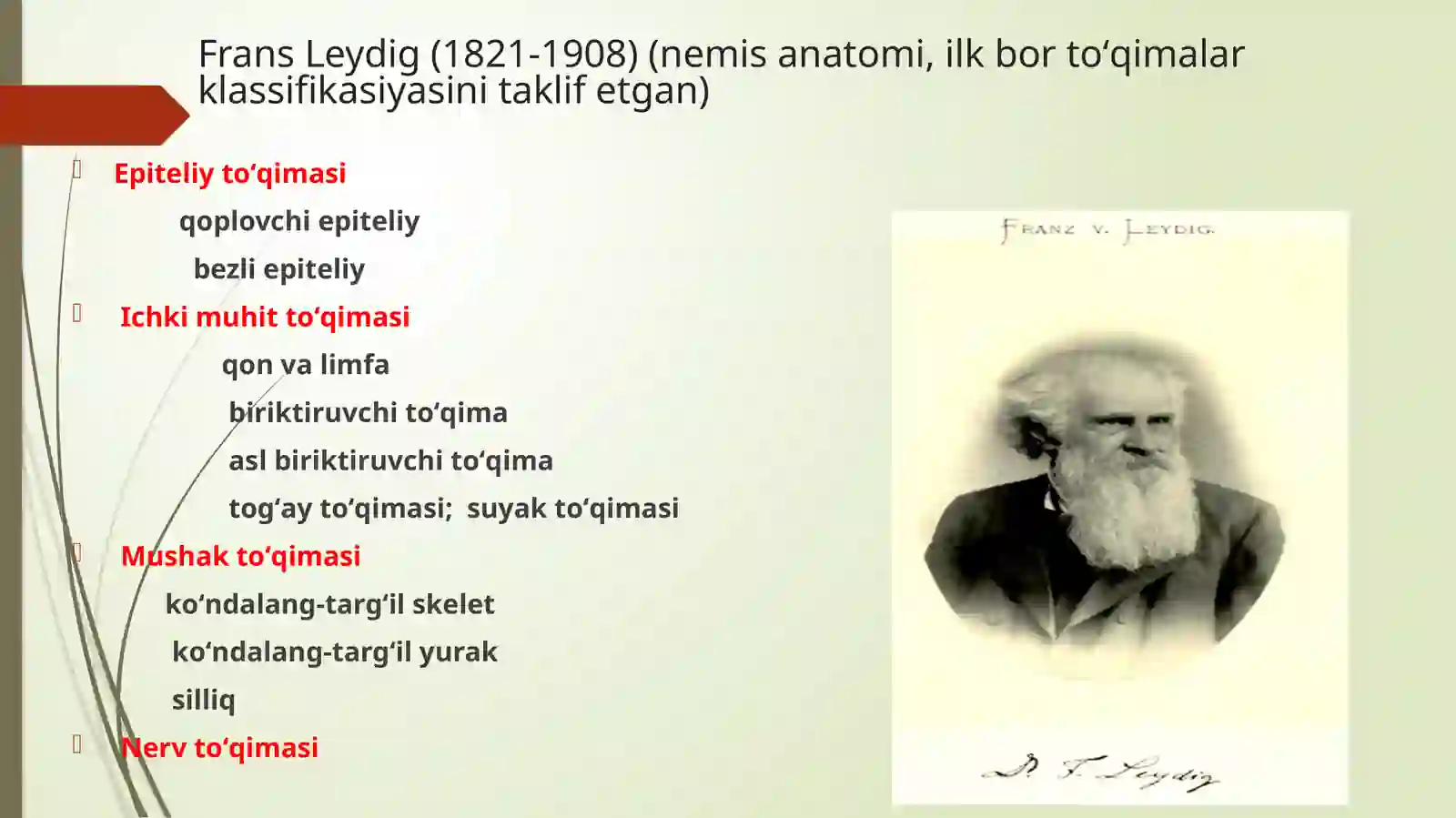 To’qimalar haqidagi ta'limot 4