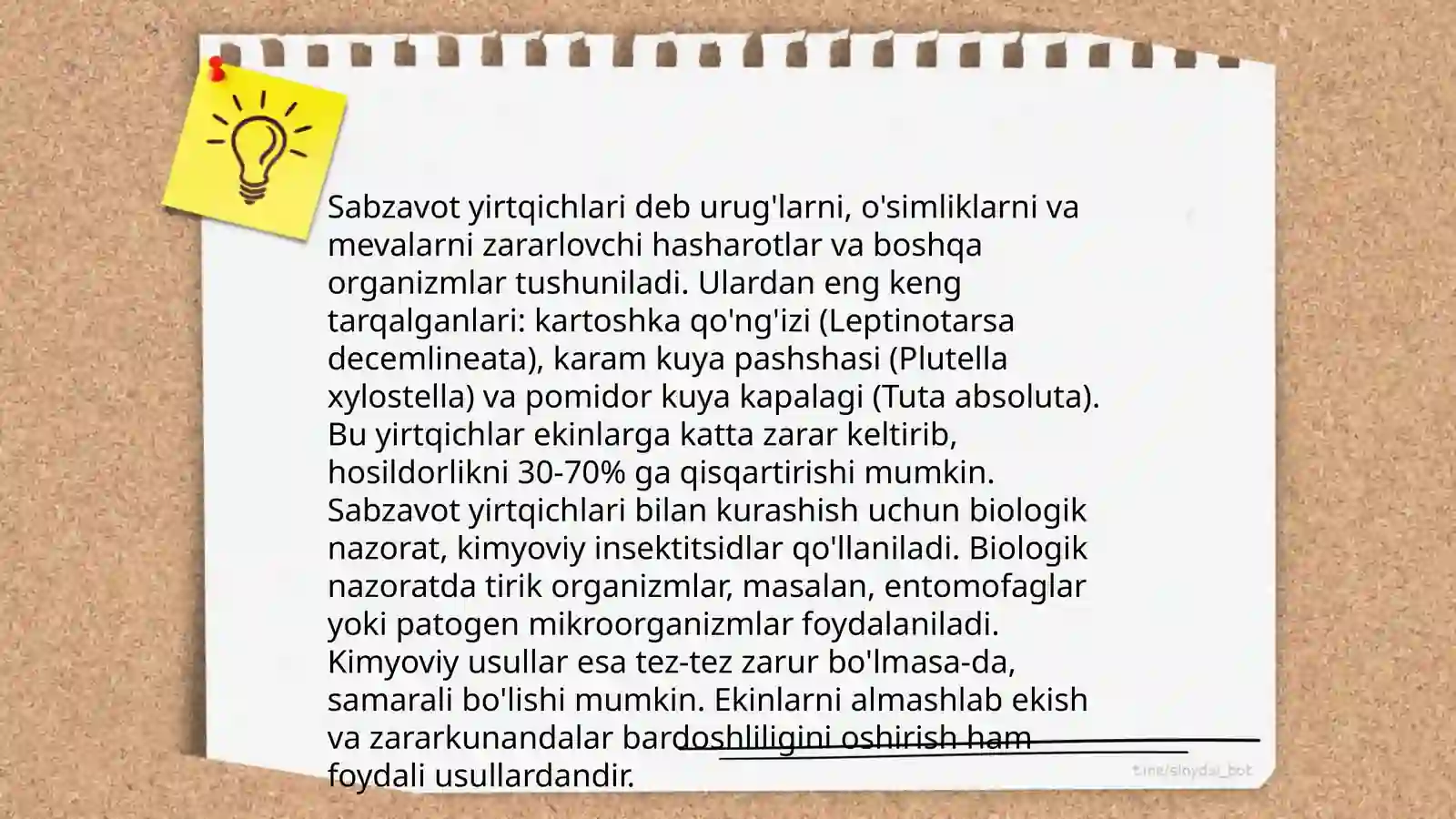Sabzavot va poliz ôsimliklarining zararkunandalari 4