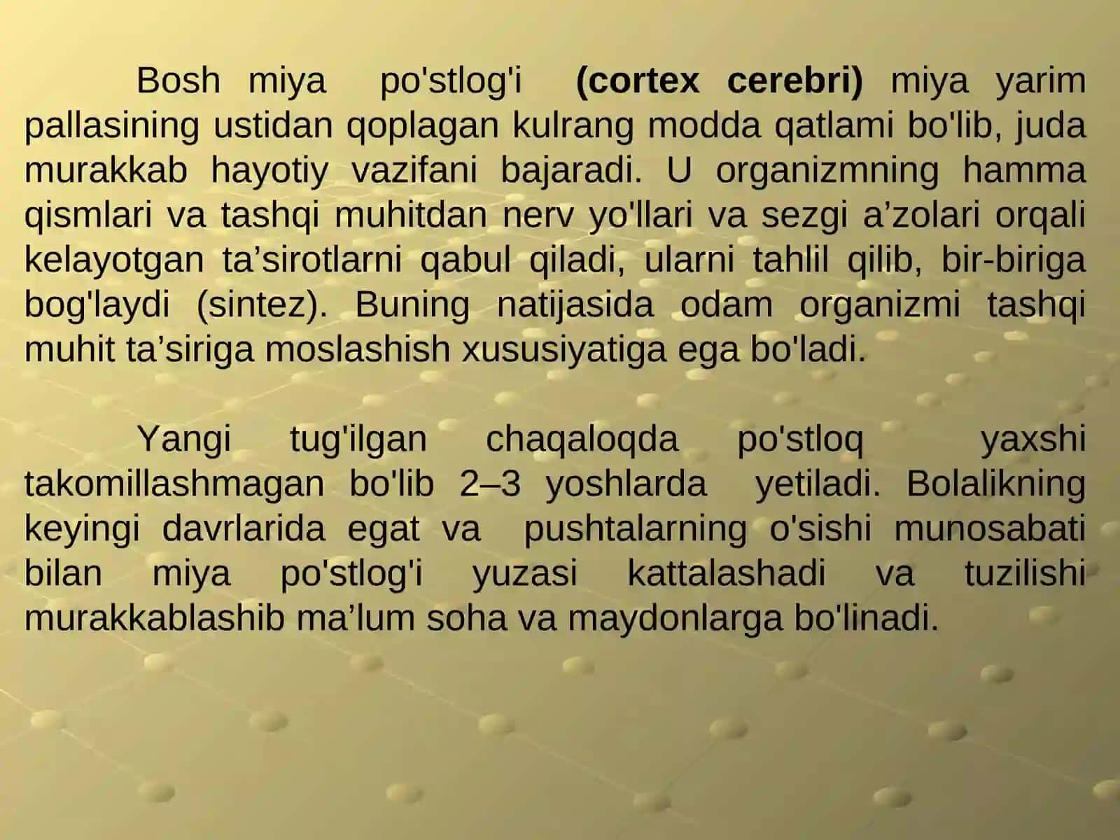 Bosh miya po'stlog'I.Po'stlog'ida markazlarning joylashuvi 4