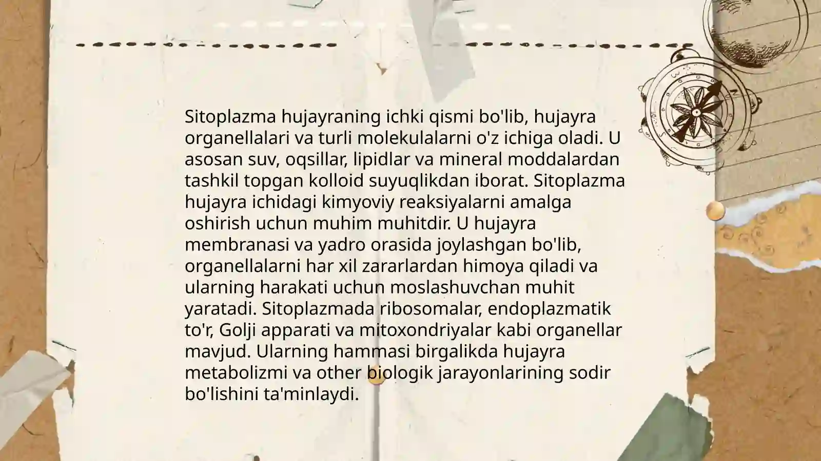 Hujayra Membranasi 4