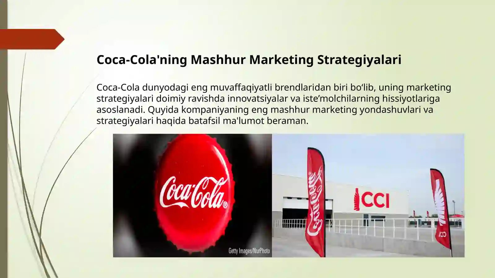 Coca-Cola Mahsulotlarining Tabaqalashtirilishi 4