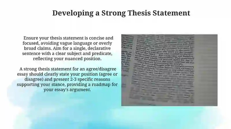 Agree disagree essays 4