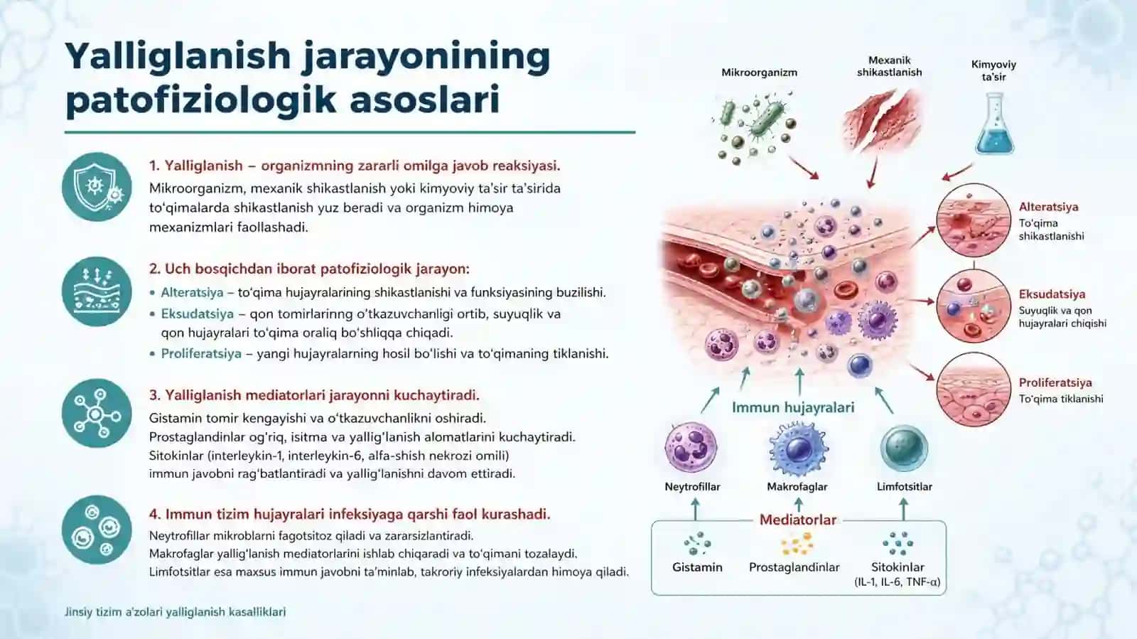 Jinsiy azolarning yallig'lanish jarayonlari patfizologiyasi 4
