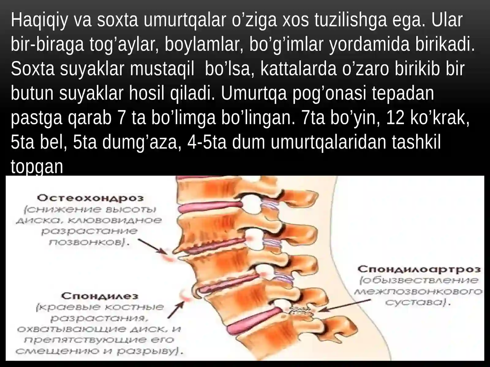 O’zbekiston Milliy Universiteti Biologiya Fakulteti Biologiya Yo’nalishi 1-kurs Ta’lim Taqdimoti 4