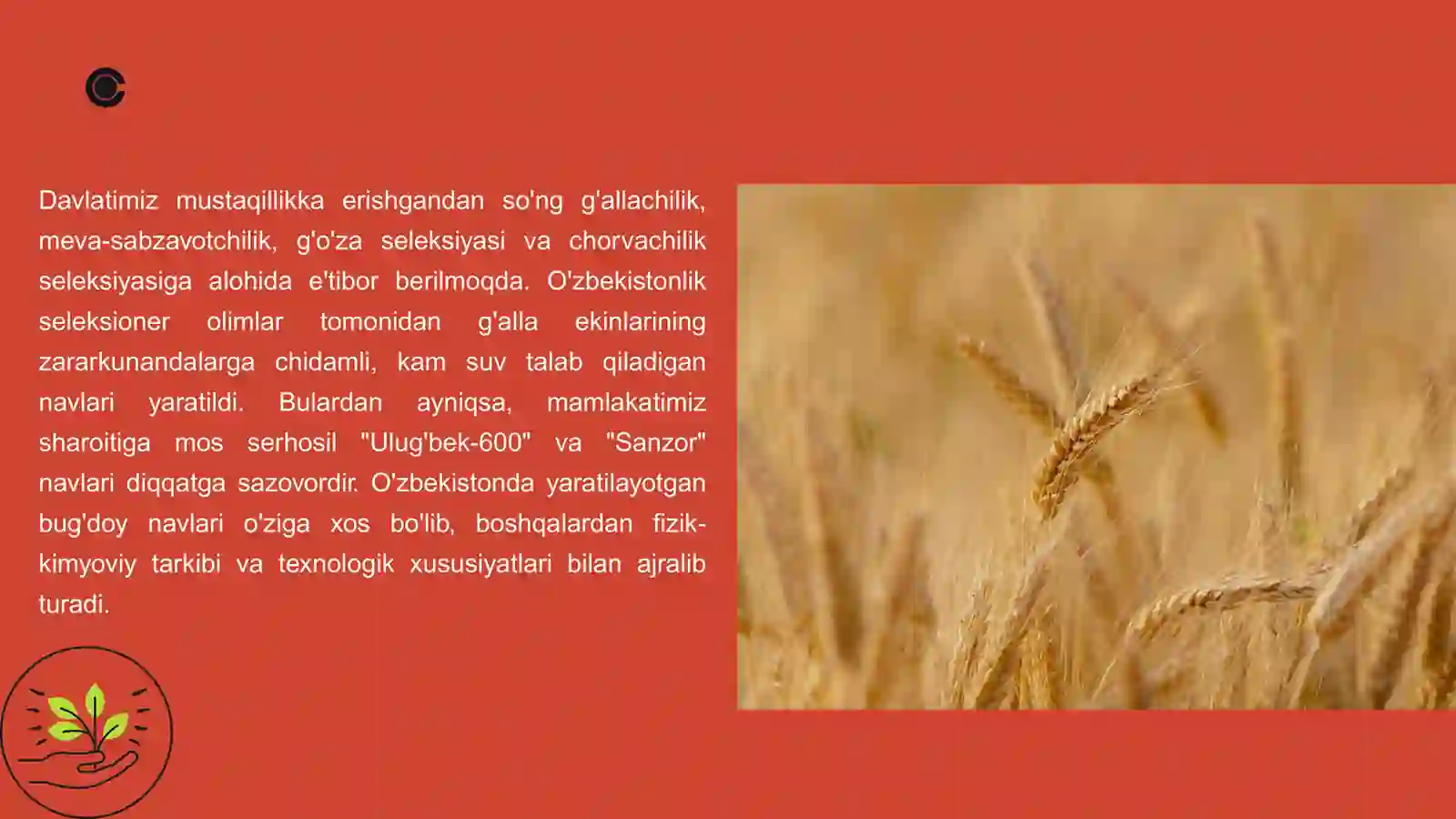 Bug’doy seleksiyasining asosiy yo’nalishlari va xozirgi kunda selektsioner olimlar tomonidan olib borilayotgan ilmiy tadqiqot izlanishlari 4