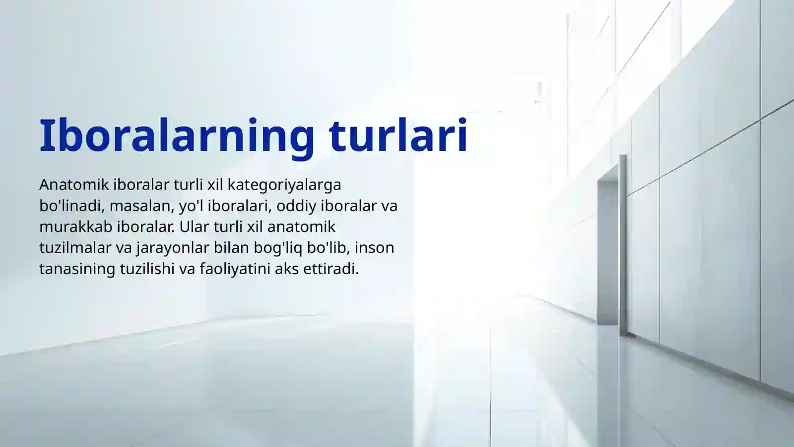 Anatomik Iboralar 4