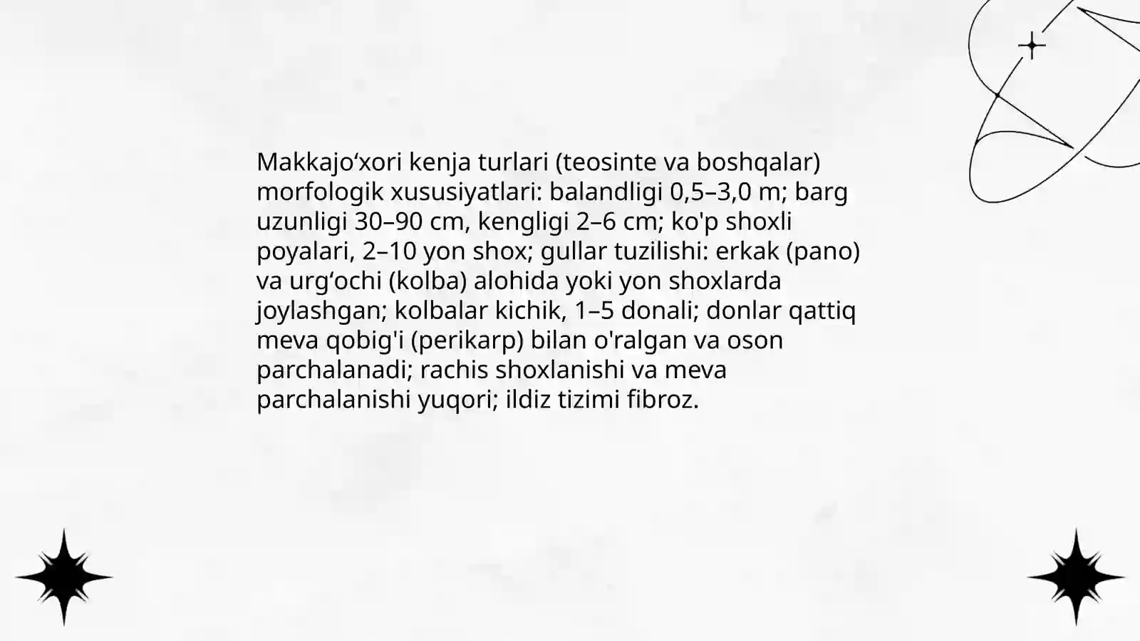 Makkajoʻxori kenja turlari va yuqori sistematikasi, morfologiyasi, sholi oʻsimligi sistematikasi morfologiyasi 4