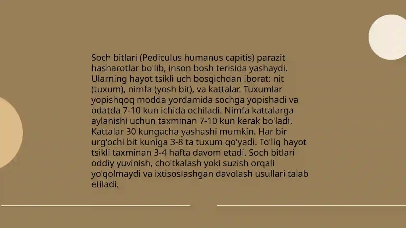 Pediculus humanus capitis 4