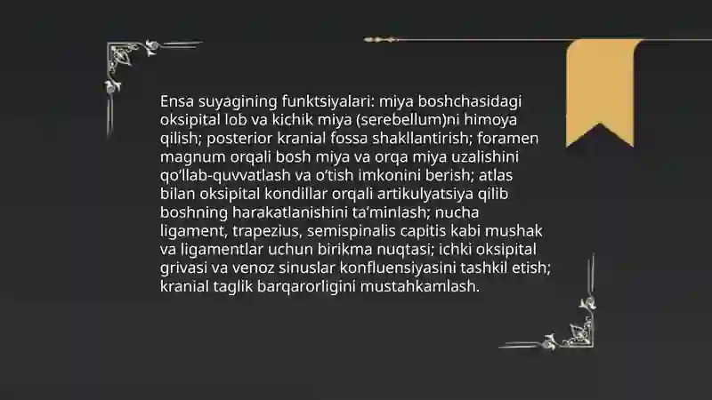 Ensa suyagi 4