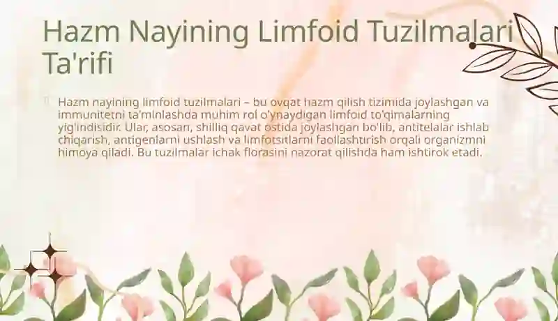 Hazm nayining limfoid tuzilmalari 4