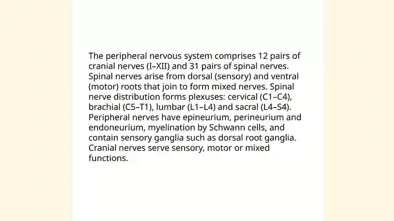 Nervous system 4