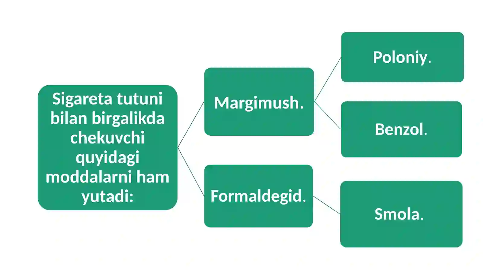 Chekishning zararli oqibatlari 4