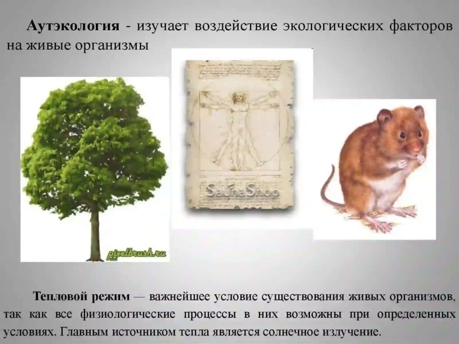 Ekologiya 4